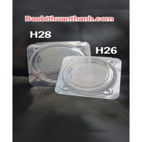 H28