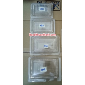 Hộp kiếng trong TT