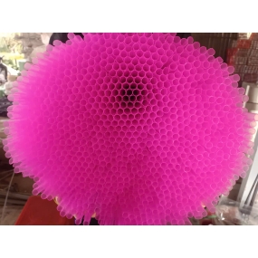ống hút trân châu màu trong 