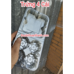 Vĩ trứng 4 cái