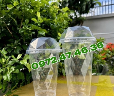 Hướng Dẫn Tìm Nguồn Ly Nhựa Giá Sỉ Tận Gốc