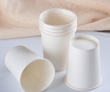 Các mẫu ly giấy thường dùng tại văn phòng