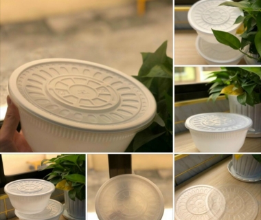 Tổng Kho Đồ Dùng Một Lần Giá Sỉ Tại TPHCM 