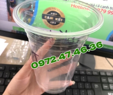 Nhà Phân Phối Ly Nhựa Tại TPHCM