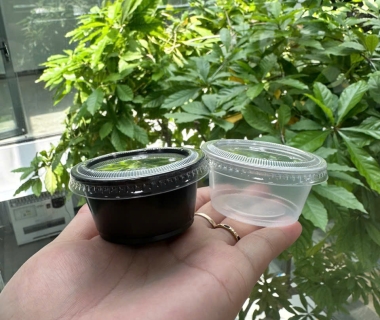 Mách Bạn Cơ Sở Bán Sỉ Lẻ Hủ Bánh Flan TPHCM Uy Tín