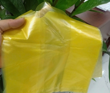 Top 6 kinh nghiệm lựa chọn địa chỉ in túi nilon chất lượng